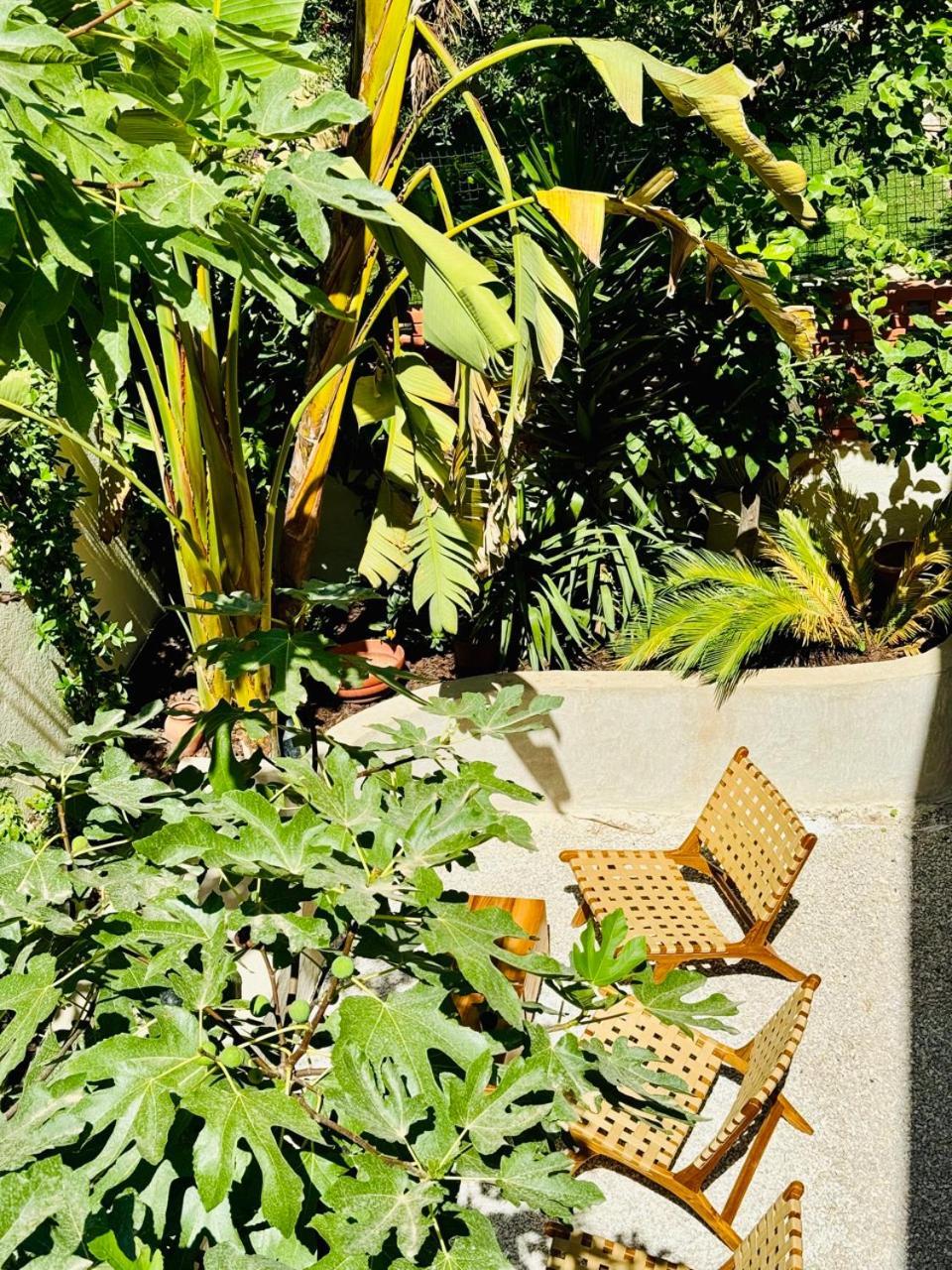 Maison Lyo Suite Luxe Cannes Exterior photo